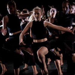 professionele dansacademie in Den Haag